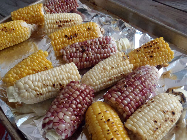 Grilled Corn cobbs
