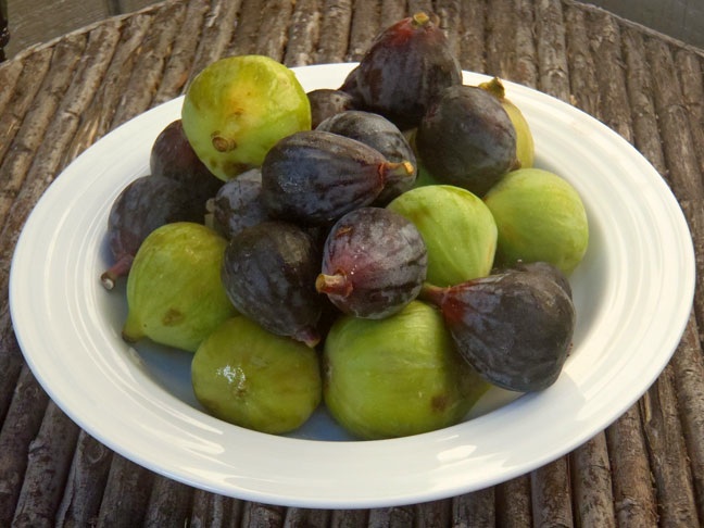 FRESH FIGS