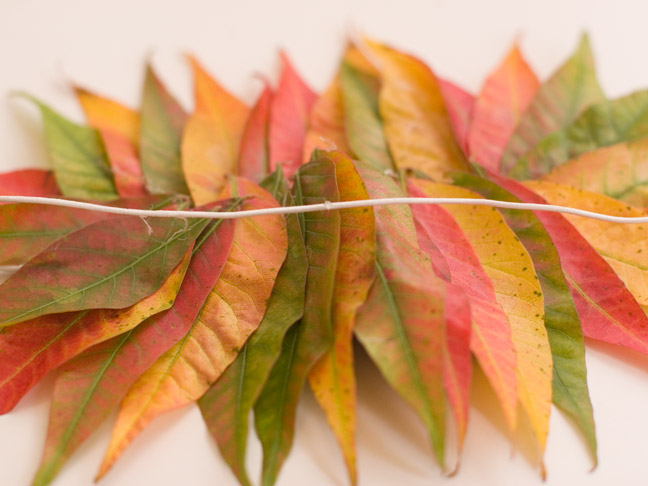 DIY: Fall Leaf Masks