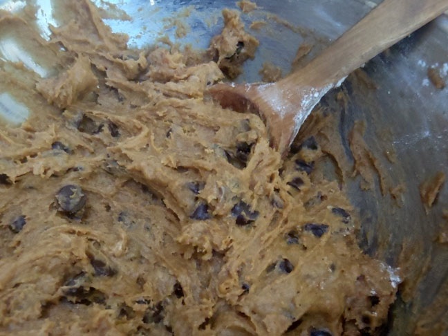 PUMPKIN SPICE CHOCOLATE CHIP COOKIE DOUGH