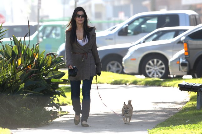 Sandra Bullock dog walking
