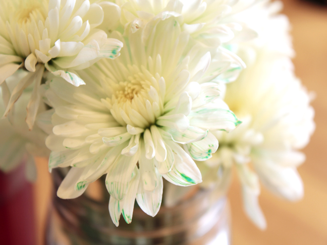 COLORED FLOWERS