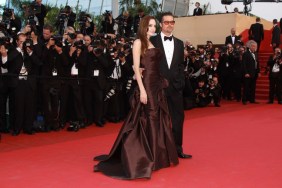 Angelina Jolie brown dress, brown gown, thigh slit gown
