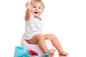 Potty Training Toddlers