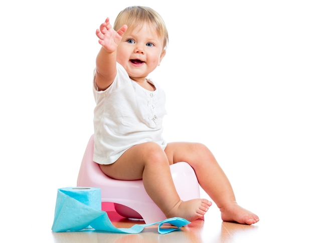 Potty Training Toddlers