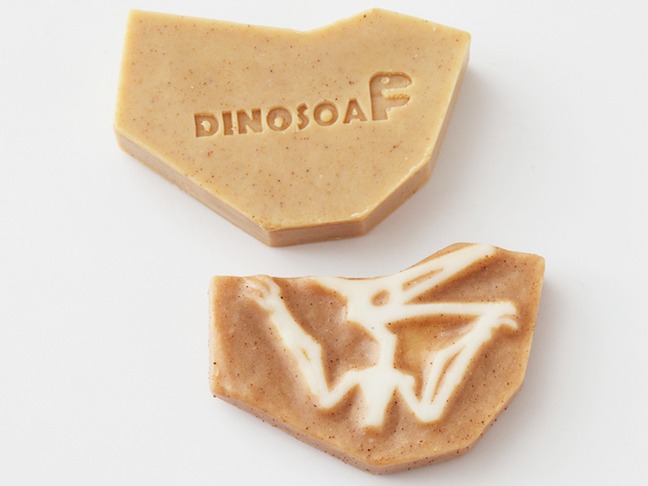 Turn Daily Washing Into An Expedition With DinoSoap