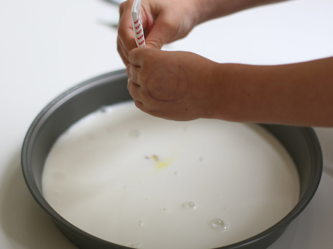 squeezing milk into pie tin