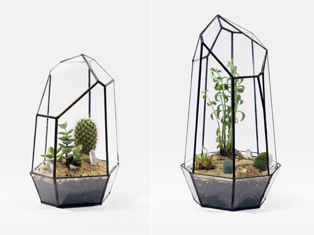 Handmade Glass Terrariums By Score and Solder