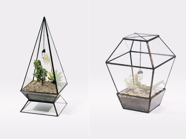 Handmade Glass Terrariums By Score and Solder