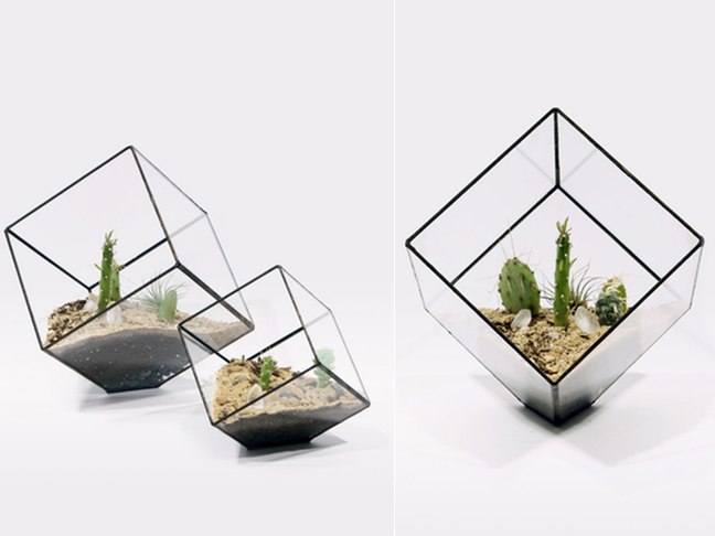 Handmade Glass Terrariums By Score and Solder