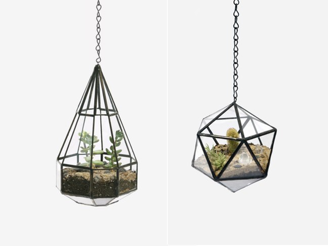 Handmade Glass Terrariums By Score and Solder