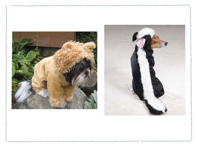 Dog Costumes For A Howling Halloween