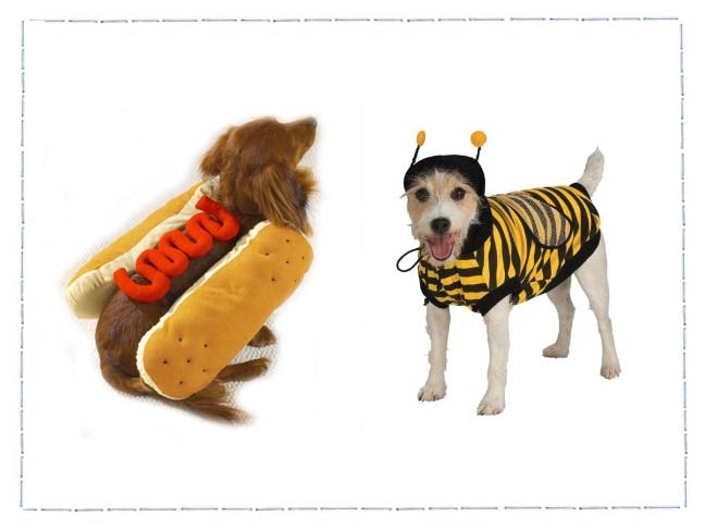 Dog Costumes For A Howling Halloween