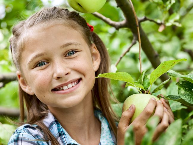 Apple Picking