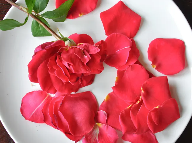 dry-rose-petals-tutorial-2