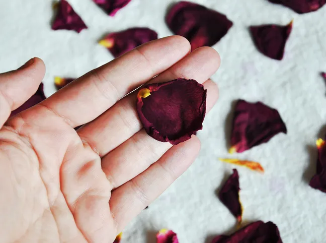 dry-rose-petals-tutorial-6