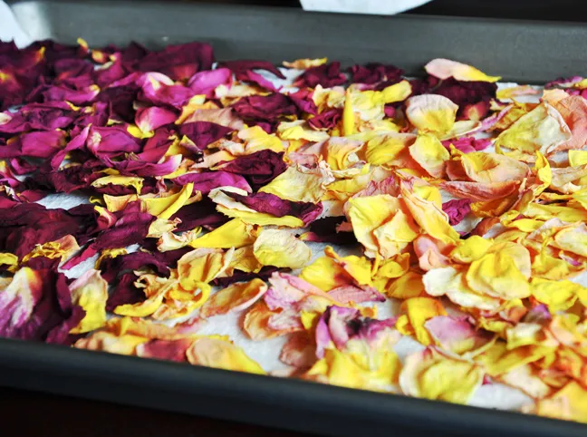 dry-rose-petals-tutorial-7