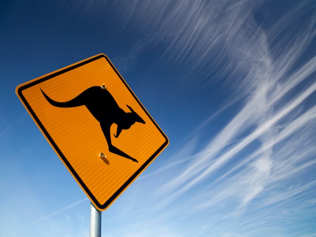 Koala Crossing Sign