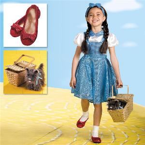 Dorothy Costume