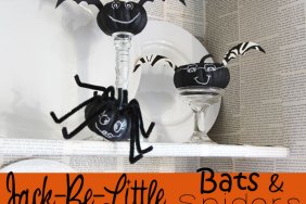 Jack-Be-Little Spider and Bat Craft DIY