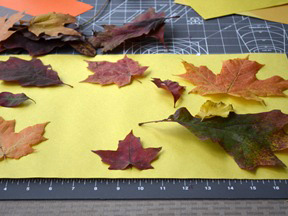 Fall Leaf Placemat - Supplies