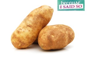 Parenting Blog - Hold the Potatoes