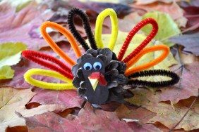 Pincone Turkey DIY Craft