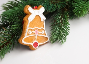 Cookie Xmas Ornament