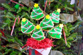 Christmas Cookie Bouquet Recipe - Final