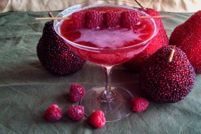 Raspberry Shrub Mocktail Recipe