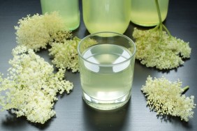 Elderflower Syrup Recipe