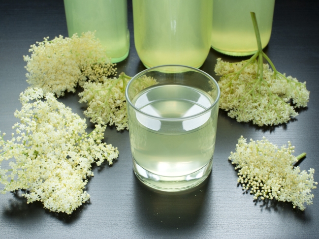 Elderflower Syrup Recipe