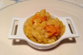 Baby Food Butternut Squash Risotto
