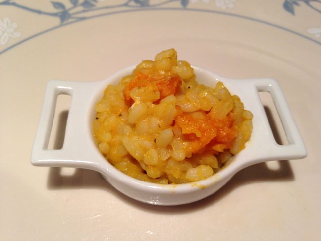 Baby Food Butternut Squash Risotto