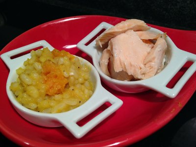 Baby Food Salmon and Butternut Squash Risotto