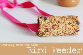 Bird Feeder Craft for Kids