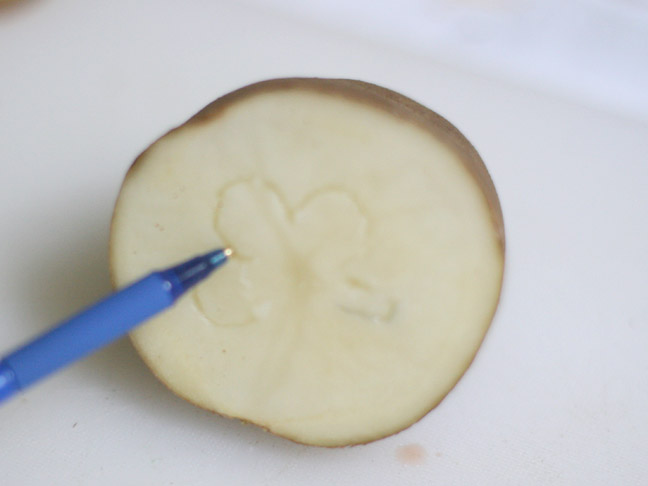 POTATO STAMP