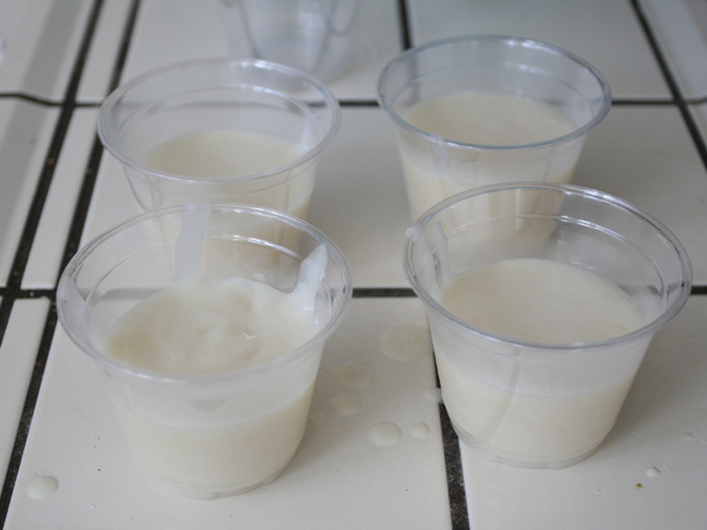 the white slimey mixture is dispensed in to four cups
