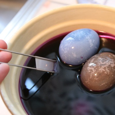 Naturally Dyed aster Eggs
