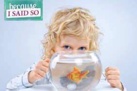 Parenting Blog - Goldfish