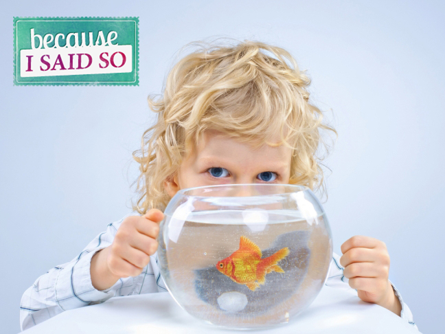Parenting Blog - Goldfish