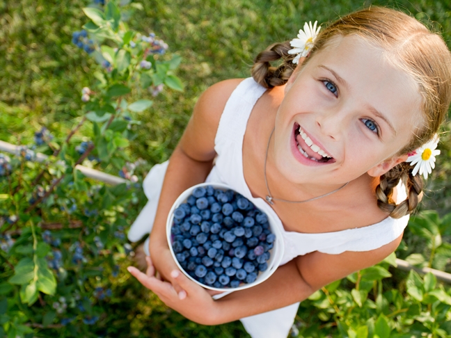Berry Picking with Kids