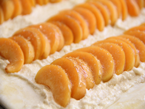 Apricot Tart Recipe - Step 9