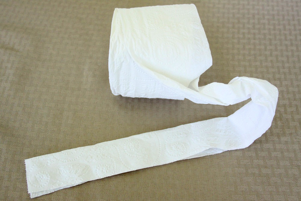 Toilet Paper Origami Rose Craft - Step 3