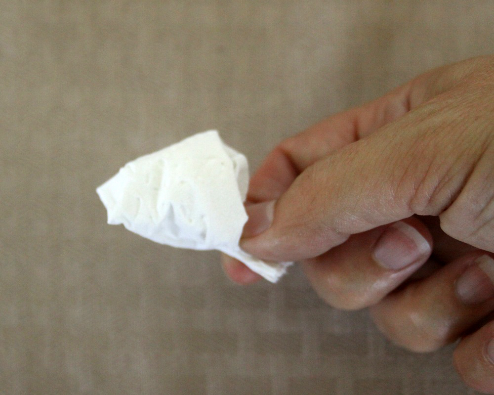 Toilet Paper Origami Rose Craft - Step 5