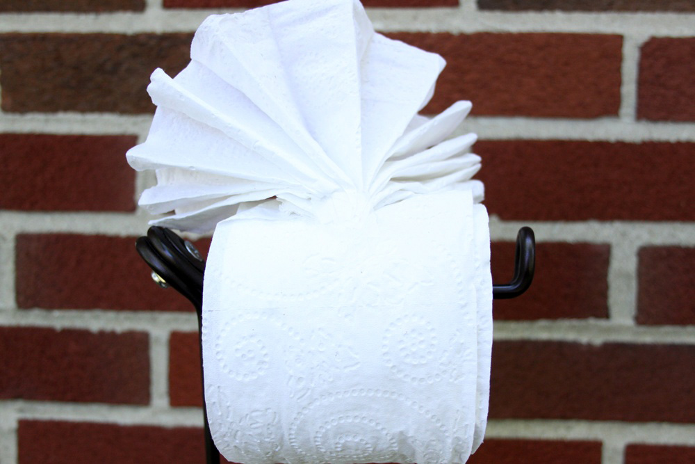 Toilet Paper Origami Fan