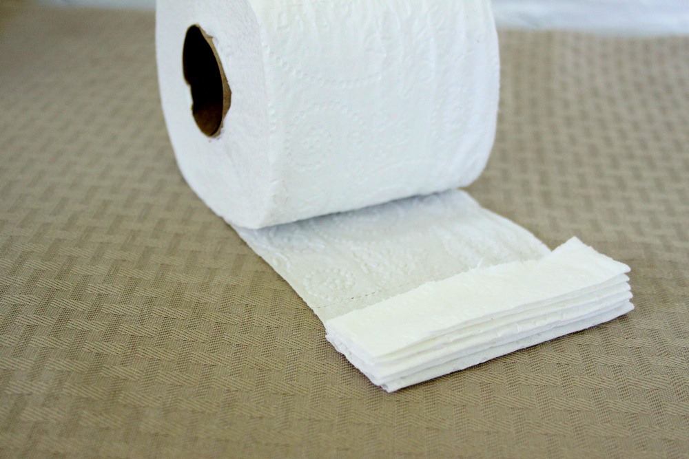 Toilet Paper Origami Fan Craft - Step 2