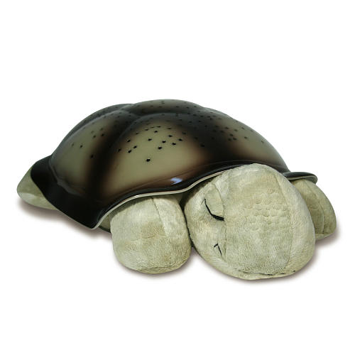 Turtle Night Light