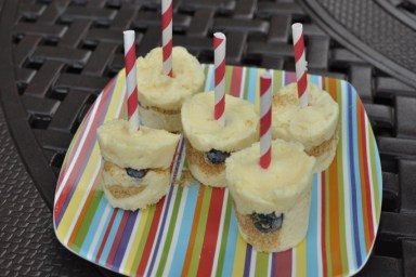 Blueberry Cheesecake Pops Recipe Final
