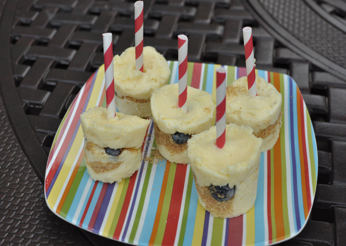 Blueberry Cheesecake Pops Recipe Final